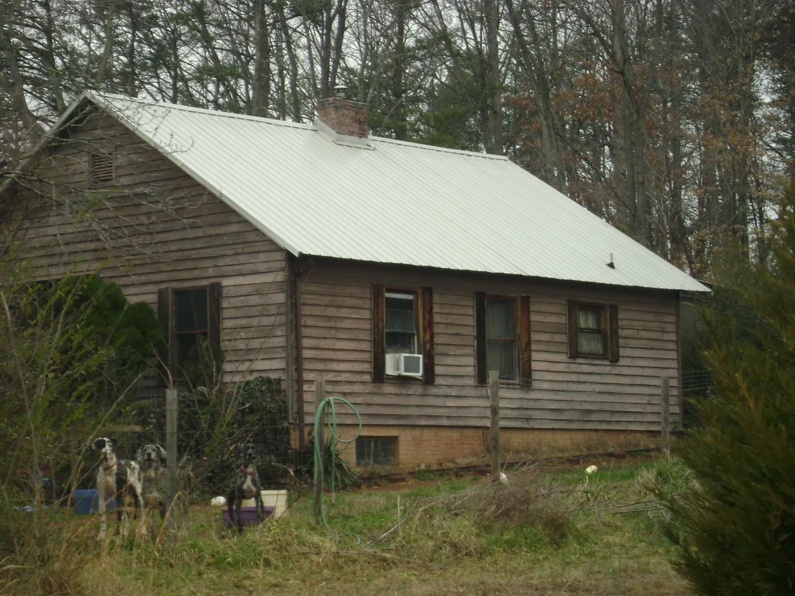 White metal roof on an old wood sided farmhouse, from a Metal Roof Installation job in Decker